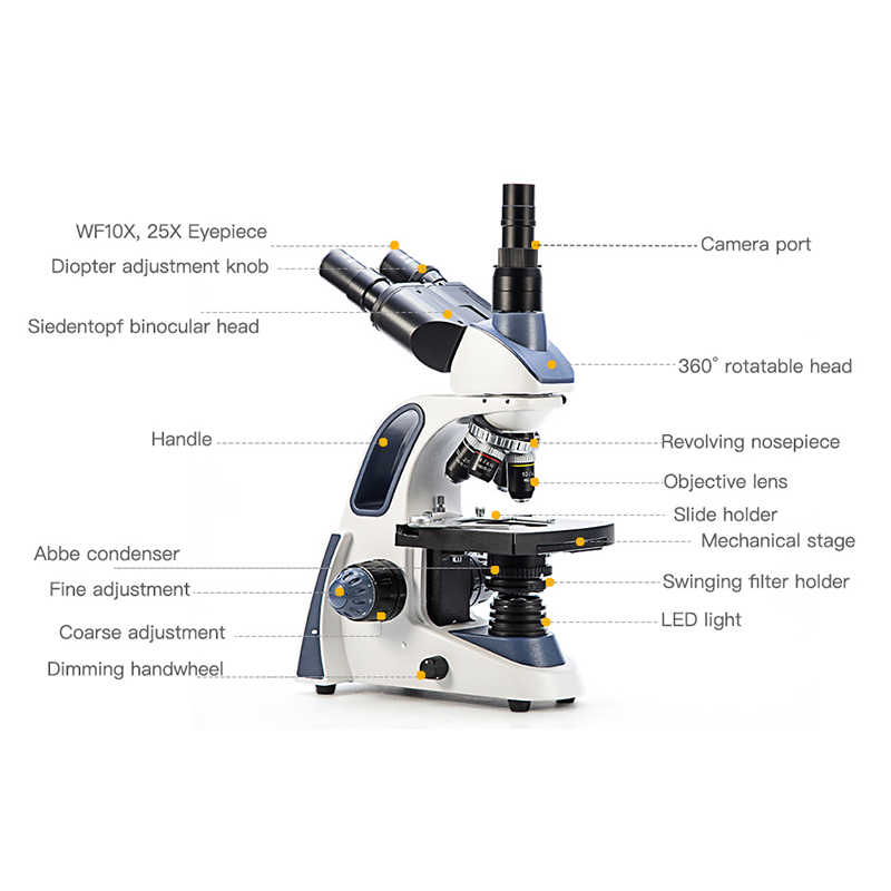 Microscopio Trinocular Compues - Microscope Compound 40X reseña y precio
