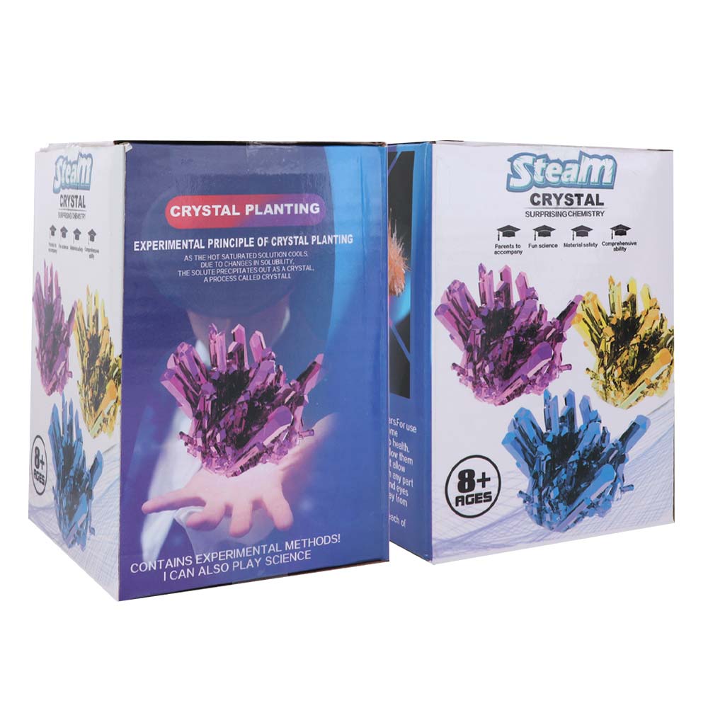 Kit de Ciencia para Cultivar C - Science Project Diy reseña y precio