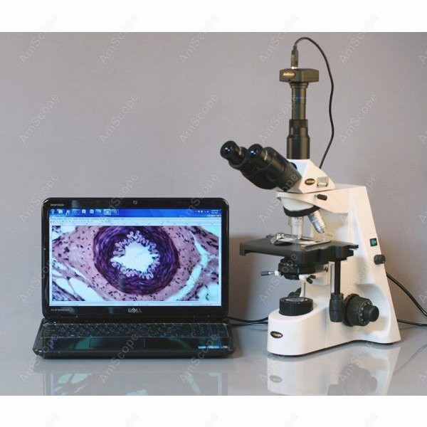 Microscopio Biológico Compuest - Microscope Compound 40X reseña y precio
