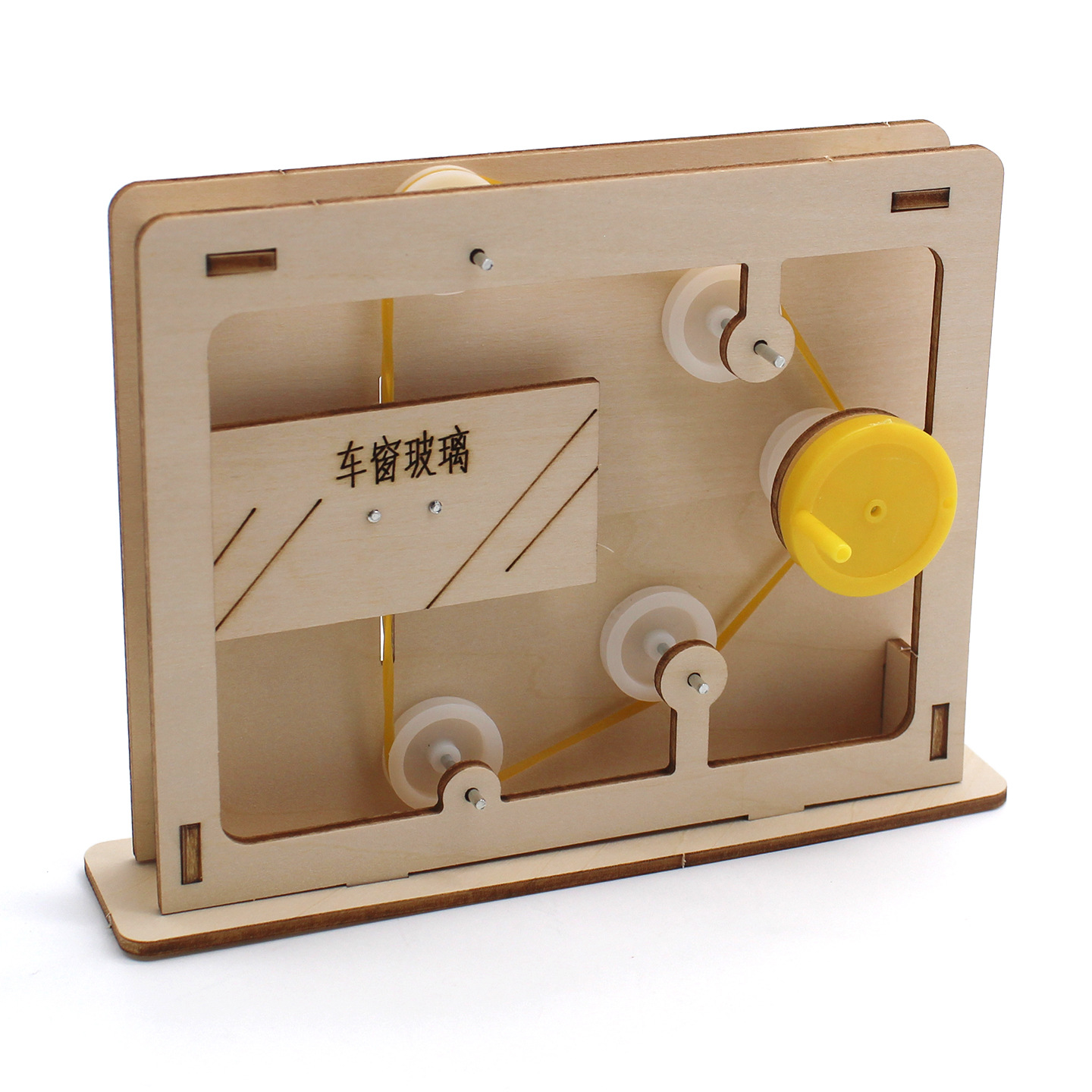 Modelo educativo de cuerda y p - Science Project Diy reseña y precio