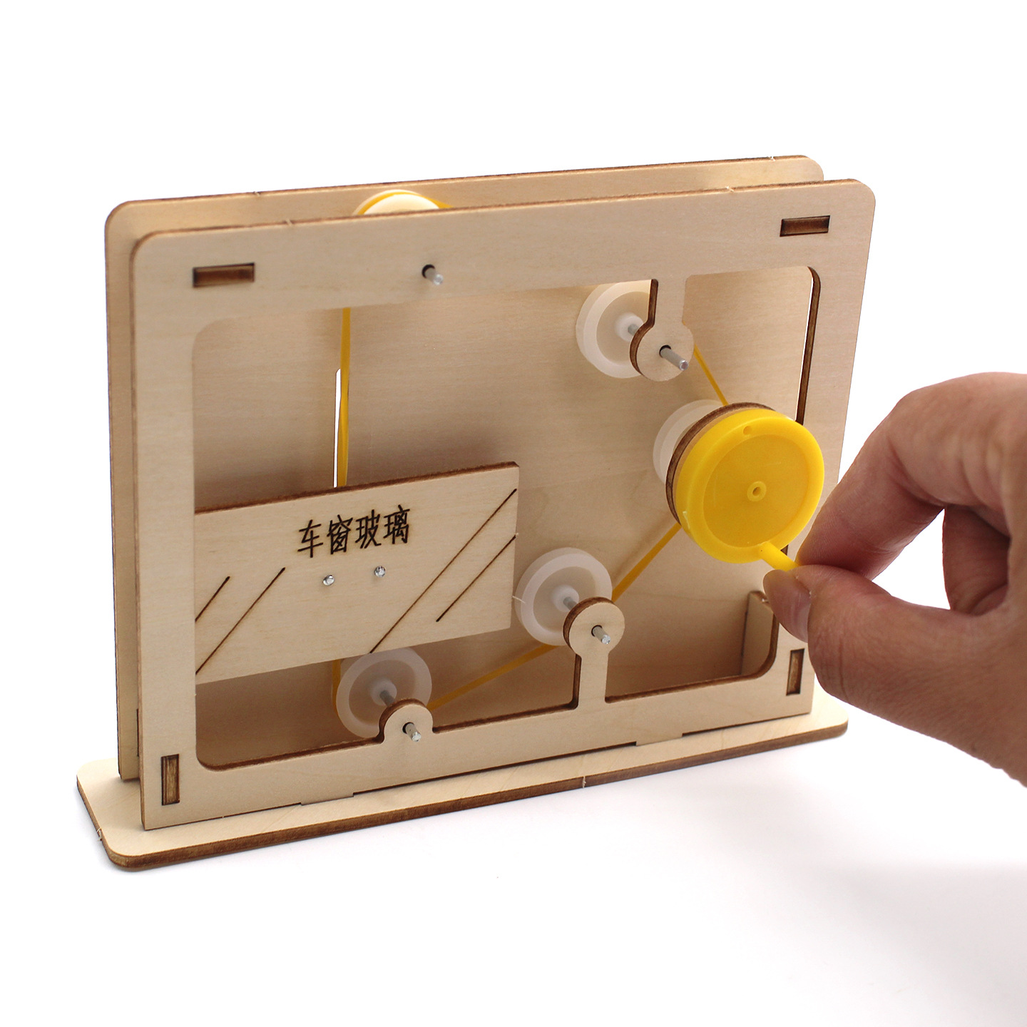 Modelo educativo de cuerda y p - Science Project Diy reseña y precio